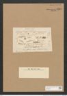 Schizonema tenne Ag. (de-Toni-Nr.: Genus 20, Species 1205) Zeichnungen Sammlung Grunow Nr. 2313 (NHMW-BOT-W0369436)